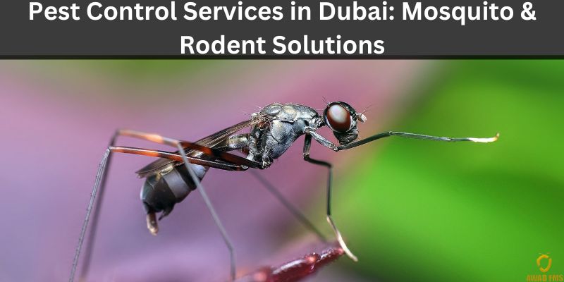 Best Pest Control For Mosquitoes in Dubai