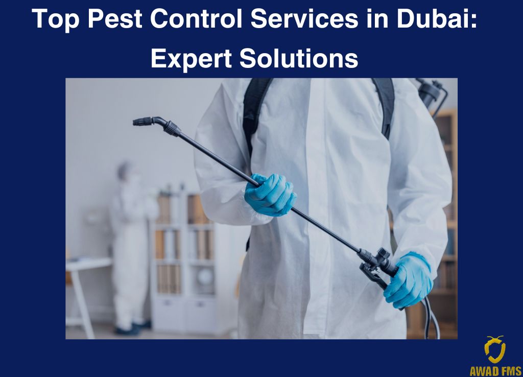 Top Pest Control Services in Dubai